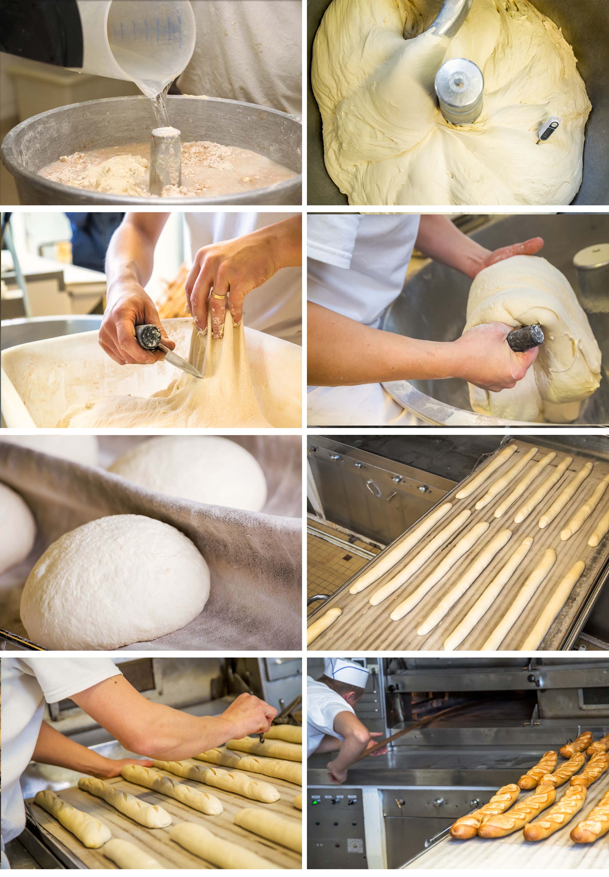 Boulanger Homme Divisant La Pâte à Pain Frais Avec Grattoir En Acier Dans  Une Boulangerie